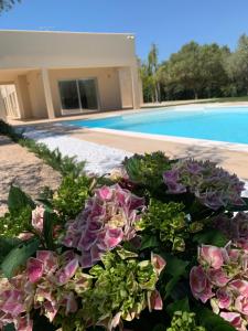 Resort Natura & Relax img34