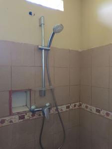 Dalum Homestay