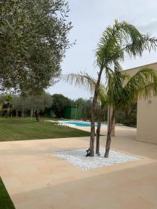 Resort Natura & Relax img36