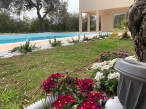 Resort Natura & Relax img40