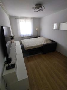 Apartment Roki