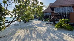 FLY FISHING ANAA TOKU KAIGA