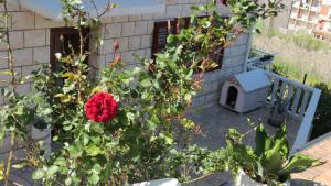 Apartment Agava