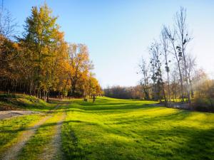 des Vignes et des Songes