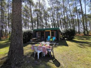 Maisons de vacances Les Villages sous les Pins, piscines chauffees, Les Arbousiers : Maison de Vacances