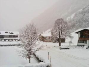 Studio in Austria with Panorama Sauna