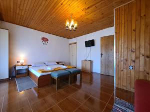 Apartments Zlatko 1397