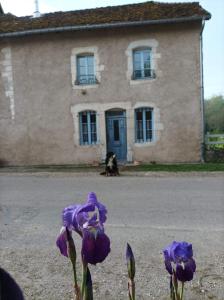 Maisons de vacances La maison du meunier : photos des chambres