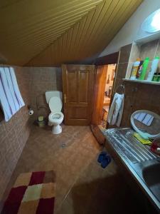 Raisa Guesthouse 12