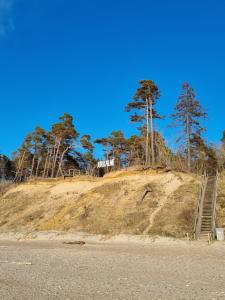 Brīvdienu māja Rozes