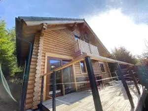 Alpenchalet Grabner Alm am Präbichl - Oberort