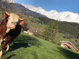 Charmant Mazot Le 1881 4 pers