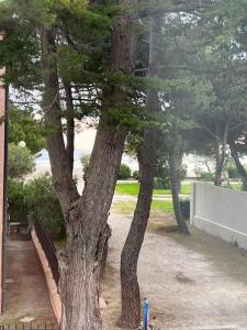 Grand F3 vue mer centre plage proche commerces