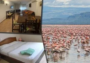 Eucaliptus, Bonito piso a pocos pasos de la playa Delta de l'Ebre - L'Eucaliptus