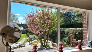Maisons de vacances La maison aux oiseaux : photos des chambres