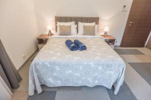 Vila Samokres sa bazenom