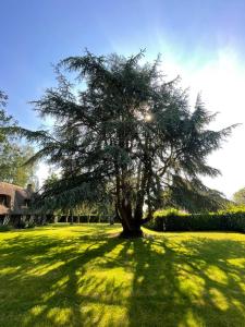 Maisons de vacances Maison de 2 chambres avec jardin clos et wifi a Berthouville : photos des chambres