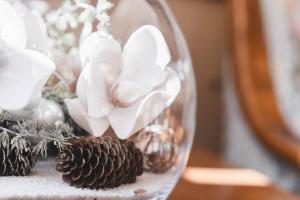 Hotel Colbricon Beauty & Relax