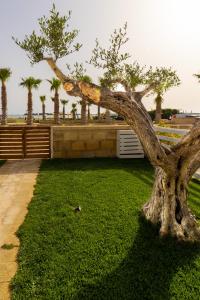 Lo Scorcio Sullo Stagnone