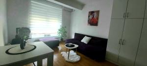 KRALj Studio