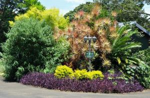 Birds of Paradise B&B