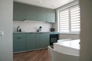 Grey Green Studio Apartment