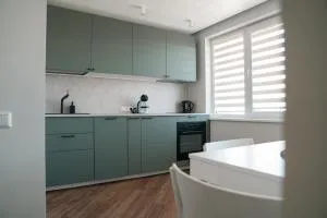 Grey Green Studio Apartment - Barbiēriškis