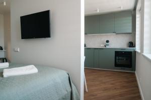 Grey Green Studio Apartment