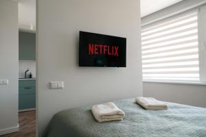 Grey Green Studio Apartment