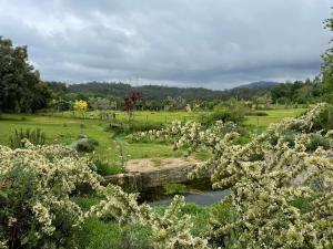 Casa de Vilar de Rei, férias em família com piscina