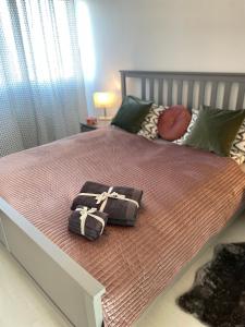 Appartements SunnyF2- EuroAiport-Basel-TrainStation-CityCenter : photos des chambres