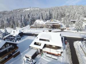 Ferienwohnung auf 1233m am Feldberg nur 20m zur Skilift/-piste, Wanderwegen und Bus