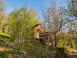 Mon chalet au cœur des Cévennes