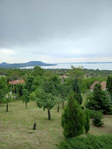 Holiday home in Balatongyörök 42694