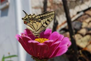 Dryades Guesthouse Orini-Nafpaktia Greece