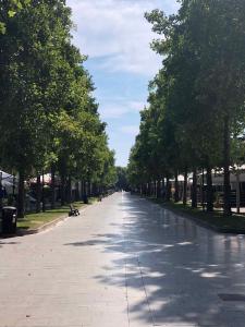 Apartment in Porto Santa Margherita 42869