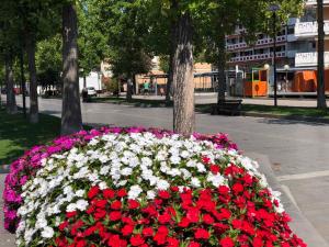 Apartment in Porto Santa Margherita 42869