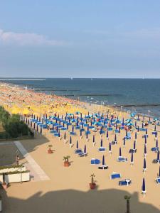 Apartment in Porto Santa Margherita 42869