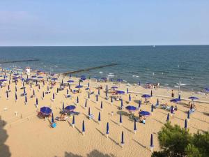 Apartment in Porto Santa Margherita 42869