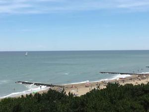 Studio in Porto Santa Margherita 42877