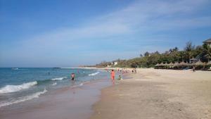 căn hộ OCEANVISTA