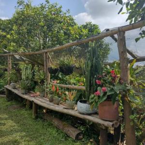 Finca Villa Hailey