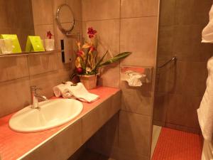 Hotels Relais d'Auvergne : photos des chambres