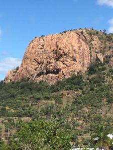 Classic Queenslander Apartment