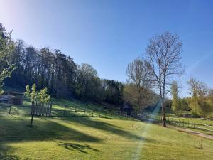 B&B / Chambres d'hotes des Vignes et des Songes : photos des chambres