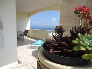 Apartment MORE Island Vis