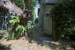 Maisons de vacances Authentique mas provencal Gemenos : photos des chambres