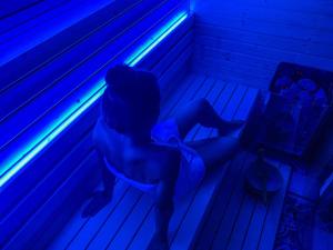 Wellness hiška Robida