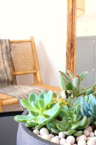 Beach Apartment Thalia with Hot Tub and Sea View