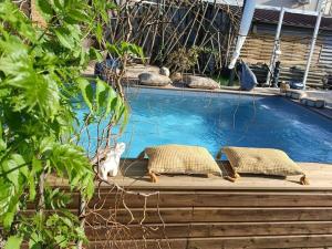 Appartements Cocoon inn&Spa : photos des chambres